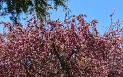 Meeting The Wise One Within