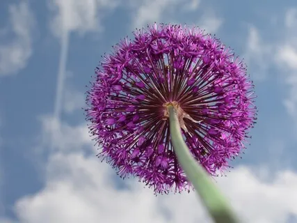 Meeting Times Of Change With Grace