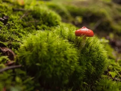 Meeting Unexpected Moments