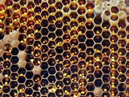 Meeting Goals - Consistency & Overcoming Obstacles - ADHD