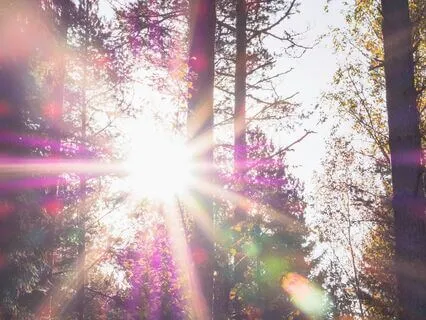 Meeting Your Guardian Angel