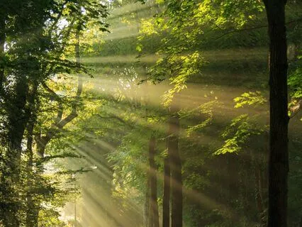 Meeting Your Inner Advisor Meditation