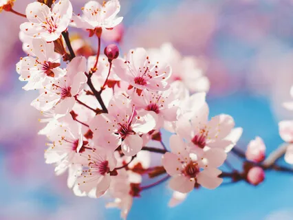 Meeting Your Inner Child