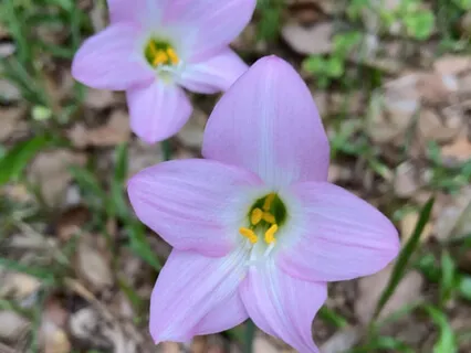 Meeting Your Inner Child