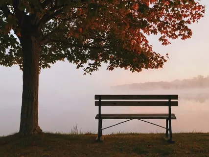 Meeting Your Inner Critic 