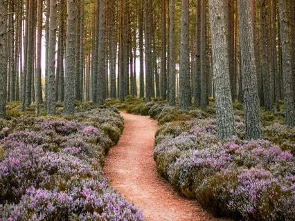 Meeting Your Inner Warrior Meditation