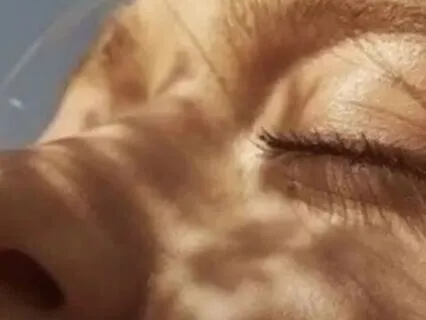 Meeting Your Parts With Compassion