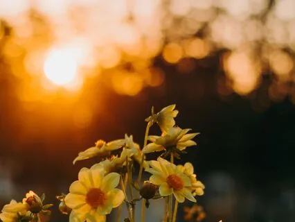 Meeting Your Radiant Self