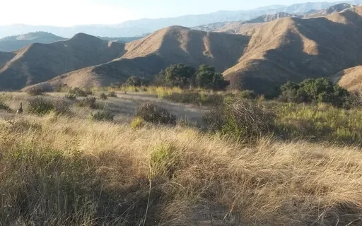 Meeting your Spirit Guide