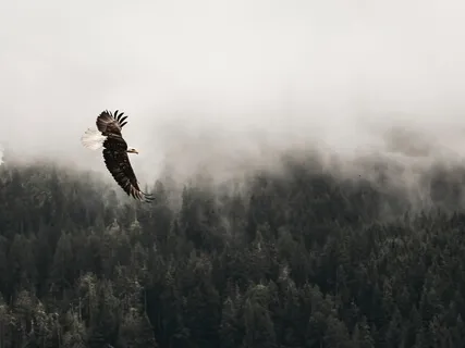 Meeting Your Spiritual Guide Meditation