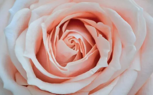 Meeting Your Twin Flame • Guided Meditation