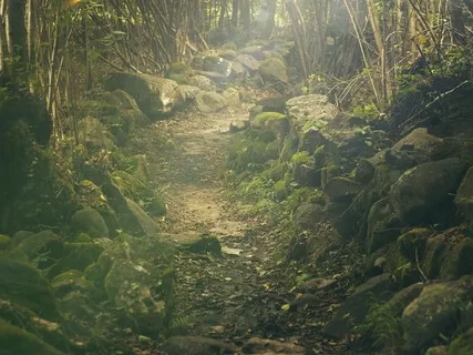 Meeting Your Wild Self