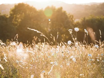 Meeting Your Younger Self