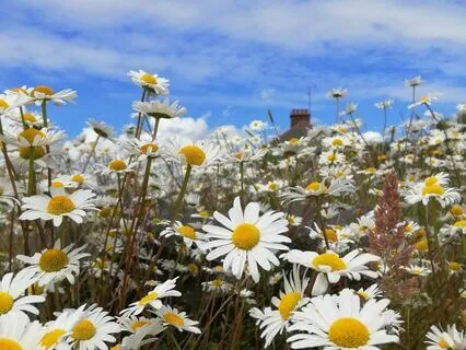 Meeting Yourself On The Mat – Grounding Practice