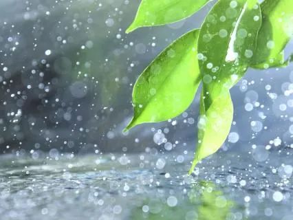 Meeting Yourself With Kindness