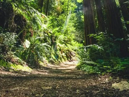 Meeting Yourself With Love On The Path