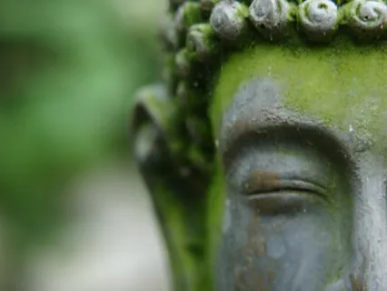 天天都是感恩节