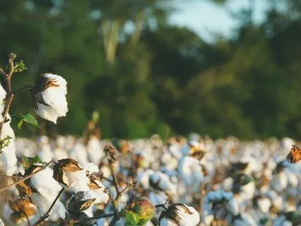 Relationship With Debt Series: Legacy Of Inequity