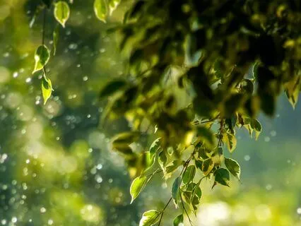 Melanated Talk + Meditation | Clarity For Direction