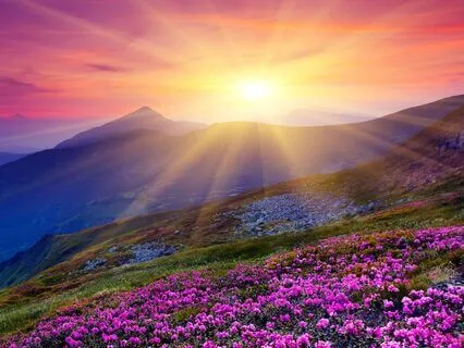 Melatonin Magic Deep Sleep: With 528Hz Aura Cleansing