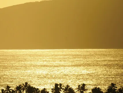 Mele Pule Lei ~Lei Na’ala~