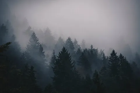 "Meliae" 10 Minute Meditation Music