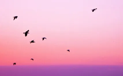 Mellow Moment: Magical Journey