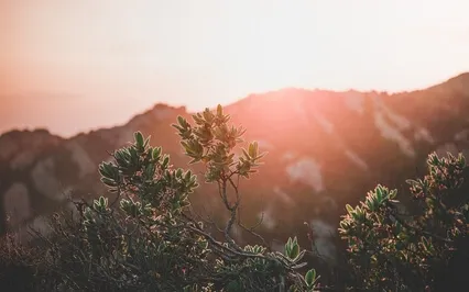 Melodic Deep Sleep Delta Drone 1HZ