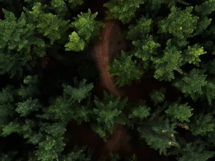 Melodic Legacy - Shadows Of Ancestral Wisdom