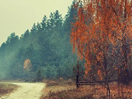 Melodies In The Rain | Native American Flute