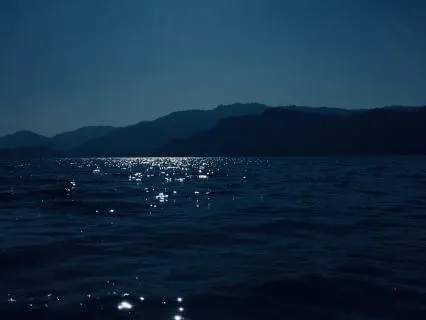Melodies Of Mermaids