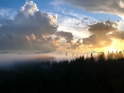 Melodies Of Peace: Rest Your Mind