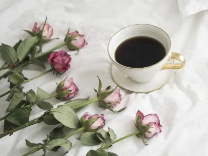 Melody Of Rose, Coffee & Vanilla