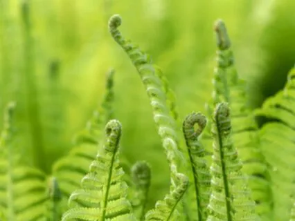 Melt Away Anxiety - Power Punch