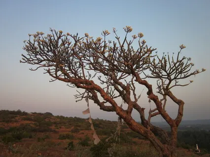 Melt Away Muscle Tension