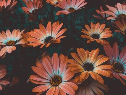 Short Somatic Anxiety & Stress Relief