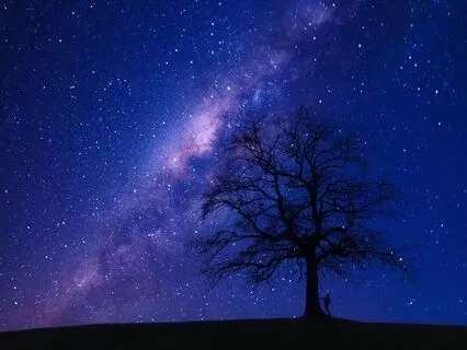 Melt Into A Calm, Comfortable Sleep