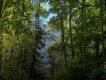 Melt Into Presence: 35 Minutes To Unwind & Reconnect