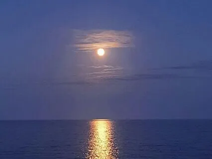 Melt Into Stillness: A Gentle Healing-Infused Sleep Journey