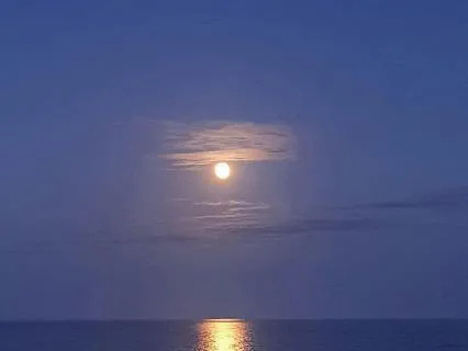 Melt Into Stillness: Healing-Infused Sleep Journey *Extended