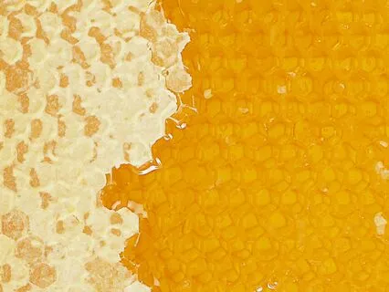 Melt Like Honey: A Somatic Journey To Relaxation & Fluidity