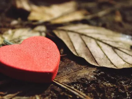 Melt Stress: Open Your Heart To Love & Delight – For Women