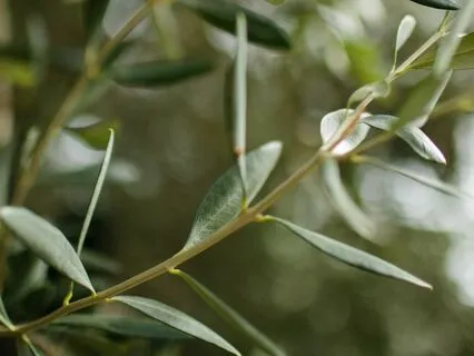 Melting Away Stress & Tension