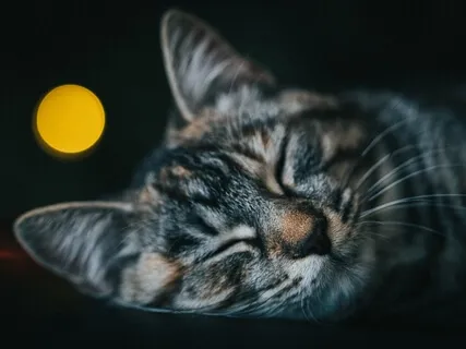 Melting Into Sleep & Deep Relaxation