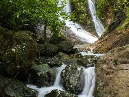 Mountain Spring Awakening