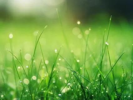 Melty Body Scan - A Simple But Effective Practice