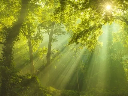 Memories | 1-Hour Version