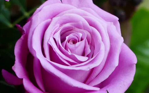 Memory Of Love Meditation Song