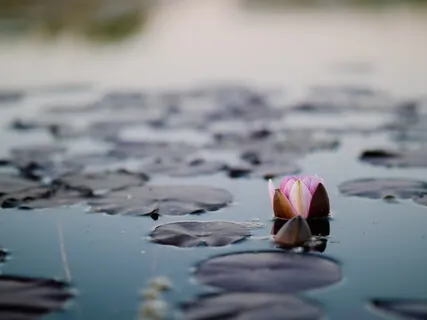 Memory Reconsolidation With Imaginary Parents