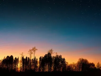 4Hz Delta Wave Healing And Sleep Meditation